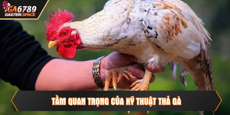 Cần nắm kỹ thuật thả gà đá chuẩn