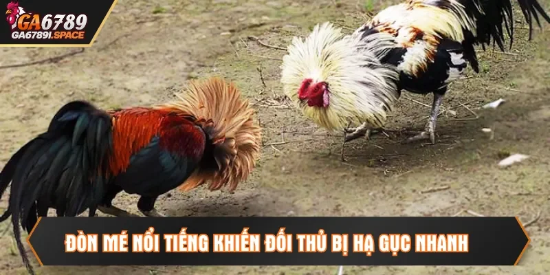 Đòn mé nổi tiếng khiến đối thủ bị hạ gục nhanh