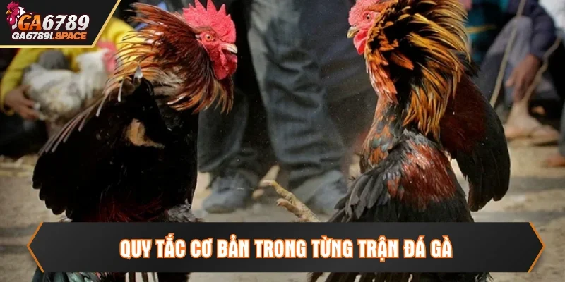 Luật lệ trong từng trận chiến diễn ra