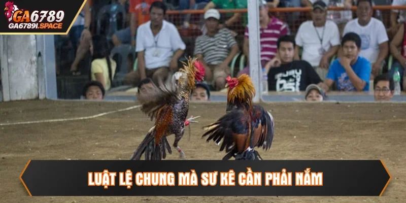 Luật lệ và quy tắc chung trong trận chiến