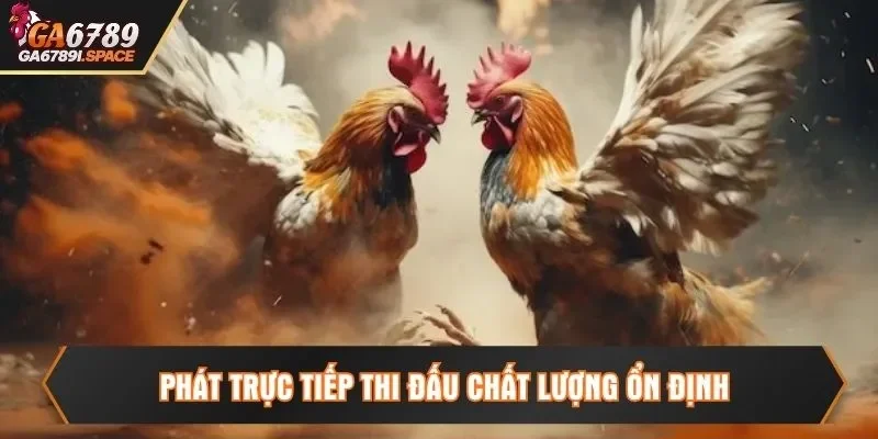 Phát trực tiếp thi đấu chất lượng ổn định