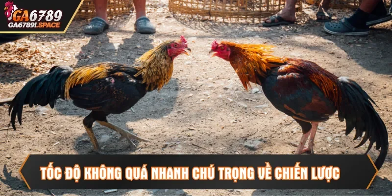 Tốc độ không quá nhanh chú trọng về chiến lược