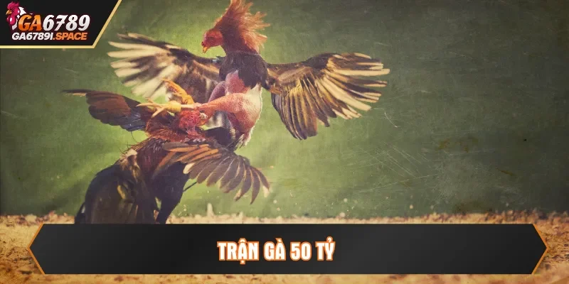 trận gà 50 tỷ